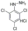 (2,4,6-TRICHLOROPHENYL)HYDRAZINE HYDROCHLORIDE Struktur