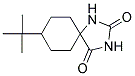 8-TERT-BUTYL-1,3-DIAZASPIRO[4.5]DECANE-2,4-DIONE Struktur