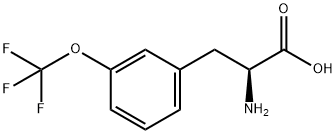 2-AMINO-3-(3-TRIFLUOROMETHOXY-PHENYL)-PROPIONIC ACID Struktur