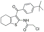 N-[3-(4-TERT-BUTYLBENZOYL)-4,5,6,7-TETRAHYDRO-1-BENZOTHIEN-2-YL]-2-CHLOROACETAMIDE Struktur