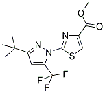 METHYL 2-[3-TERT-BUTYL-5-(TRIFLUOROMETHYL)-1H-PYRAZOL-1-YL]-1,3-THIAZOLE-4-CARBOXYLATE Struktur