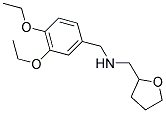 N-(3,4-DIETHOXYBENZYL)-N-(TETRAHYDROFURAN-2-YLMETHYL)AMINE Struktur