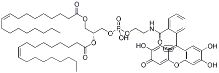 1,2-DIOLEOYL-SN-GLYCERO-3-PHOSPHOETHANOLAMINE, FLUORESCEIN-LABELED Struktur