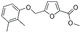 METHYL 5-[(2,3-DIMETHYLPHENOXY)METHYL]-2-FUROATE Struktur