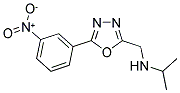 N-[[5-(3-NITROPHENYL)-1,3,4-OXADIAZOL-2-YL]METHYL]PROPAN-2-AMINE Struktur