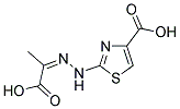 2-[(2Z)-2-(1-CARBOXYETHYLIDENE)HYDRAZINO]-1,3-THIAZOLE-4-CARBOXYLIC ACID Struktur