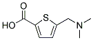 5-[(DIMETHYLAMINO)METHYL]THIOPHENE-2-CARBOXYLIC ACID Struktur