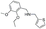 N-(2-ETHOXY-3-METHOXYBENZYL)-N-(THIEN-2-YLMETHYL)AMINE Struktur