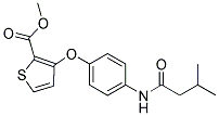 METHYL 3-(4-[(3-METHYLBUTANOYL)AMINO]PHENOXY)-2-THIOPHENECARBOXYLATE Struktur