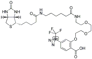 2-[2-[2-[2-[6-(BIOTINYLAMINOHEXANOYL)]AMINOETHOXY]ETHOXY]ETHOXY]-4-[3-(TRIFLUOROMETHYL)-3H-DIAZIRIN-3-YL]BENZOIC ACID Struktur