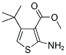 METHYL 2-AMINO-4-TERT-BUTYL-3-THIOPHENECARBOXYLATE Struktur