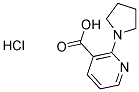 2-PYRROLIDIN-1-YLNICOTINIC ACID HYDROCHLORIDE Struktur