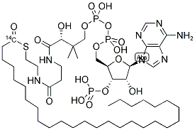 OCTACOSANOYL COENZYME A [OCTACOSANOYL 1-14C] Struktur