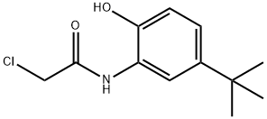 N-(5-TERT-BUTYL-2-HYDROXY-PHENYL)-2-CHLORO-ACETAMIDE