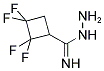 1-(IMINO-HYDRAZINO-METHYL)-2,2,3,3-TETRAFLUORO-CYCLOBUTANE Struktur