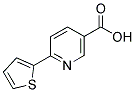 6-THIEN-2-YLNICOTINIC ACID|