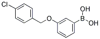 3-(4'-CHLOROBENZYLOXY)PHENYLBORONIC ACID Struktur