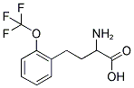 2-AMINO-4-(2-TRIFLUOROMETHOXY-PHENYL)-BUTYRIC ACID Struktur