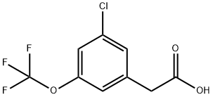 3-CHLORO-5-(TRIFLUOROMETHOXY)PHENYLACETIC ACID Struktur