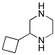 2-CYCLOBUTYL-PIPERAZINE Struktur