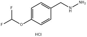 [4-(DIFLUOROMETHOXY)BENZYL]HYDRAZINE DIHYDROCHLORIDE Struktur