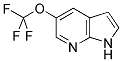 5-TRIFLUOROMETHOXY-1H-PYRROLO[2,3-B]PYRIDINE Struktur