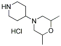 2,6-DIMETHYL-4-PIPERIDIN-4-YL-MORPHOLINEHYDROCHLORIDE Struktur