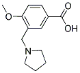 4-METHOXY-3-(PYRROLIDIN-1YLMETHYL)BENZOIC ACID Struktur