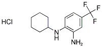 N-[2-AMINO-4-(TRIFLUOROMETHYL)PHENYL]-N-CYCLOHEXYLAMINE HYDROCHLORIDE Struktur