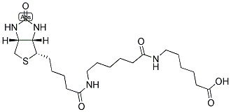 BIOTIN-2X Struktur