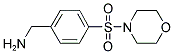 1-[4-(MORPHOLIN-4-YLSULFONYL)PHENYL]METHANAMINE Struktur