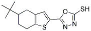 5-(5-TERT-BUTYL-4,5,6,7-TETRAHYDRO-1-BENZOTHIEN-2-YL)-1,3,4-OXADIAZOLE-2-THIOL Struktur