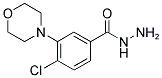 4-CHLORO-3-MORPHOLIN-4-YL-BENZOIC ACID HYDRAZIDE Struktur