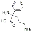 2-PHENYLORNITHINE Struktur