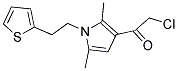 2-CHLORO-1-[2,5-DIMETHYL-1-(2-THIEN-2-YLETHYL)-1H-PYRROL-3-YL]ETHANONE Struktur