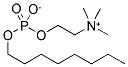 O-(OCTYLPHOSPHORYL)CHOLINE Struktur