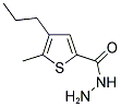 5-METHYL-4-PROPYLTHIOPHENE-2-CARBOHYDRAZIDE Struktur