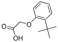 (2-TERT-BUTYL-PHENOXY)-ACETIC ACID Struktur