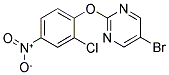 5-BROMO-2-(2-CHLORO-4-NITRO-PHENOXY)-PYRIMIDINE Struktur