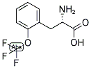 (S)-2-AMINO-3-(2-TRIFLUOROMETHOXY-PHENYL)-PROPIONIC ACID Struktur