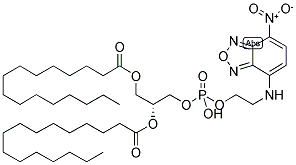 1,2-DIPALMITOYL-SN-GLYCERO-3-PHOSPHOETHANOLAMINE, 7-NITROBENZOFURAZAN-LABELED Struktur