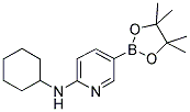 2-(CYCLOHEXYLAMINO)PYRIDINE-5-BORONIC ACID PINACOL ESTER Struktur