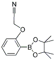 2-CYANOMETHOXY-PHENYLBORONIC ACID, PINACOL ESTER Struktur