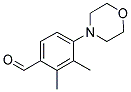 2,3-DIMETHYL-4-MORPHOLIN-4-YL-BENZALDEHYDE Struktur