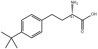 (S)-2-AMINO-4-(4-TERT-BUTYL-PHENYL)-BUTYRIC ACID Struktur