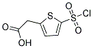 [5-(CHLOROSULFONYL)THIEN-2-YL]ACETIC ACID Struktur