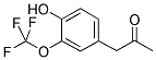 (4-HYDROXY-3-(TRIFLUOROMETHOXY)PHENYL)ACETONE Struktur