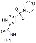 4-(MORPHOLIN-4-YLSULFONYL)-1H-PYRROLE-2-CARBOHYDRAZIDE Struktur