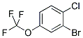 2-BROMO-1-CHLORO-4-TRIFLUOROMETHOXYBENZENE Struktur