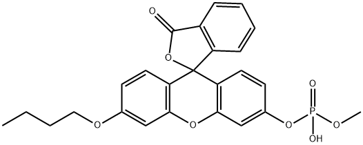 O-甲基-O-(N-丁基熒光素)磷酸鹽, 887406-94-2, 結(jié)構(gòu)式